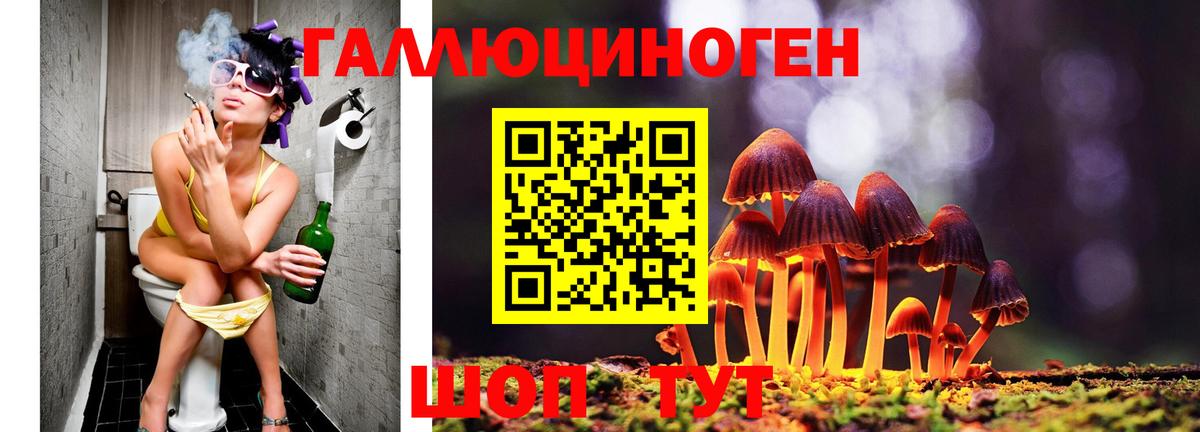 сколько стоит  Вход с VPN  Прохладный  Галлюциногенные грибы Psilocybe 