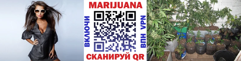Марихуана MAZAR  где можно купить наркотик  Прохладный 